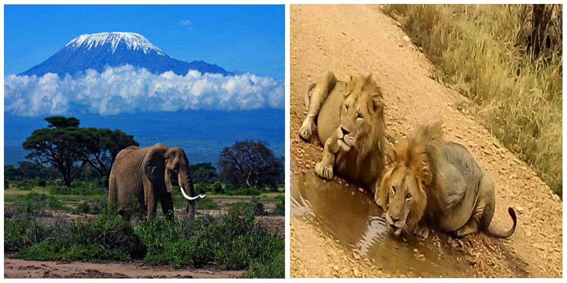 Tour Operator in Tanzania