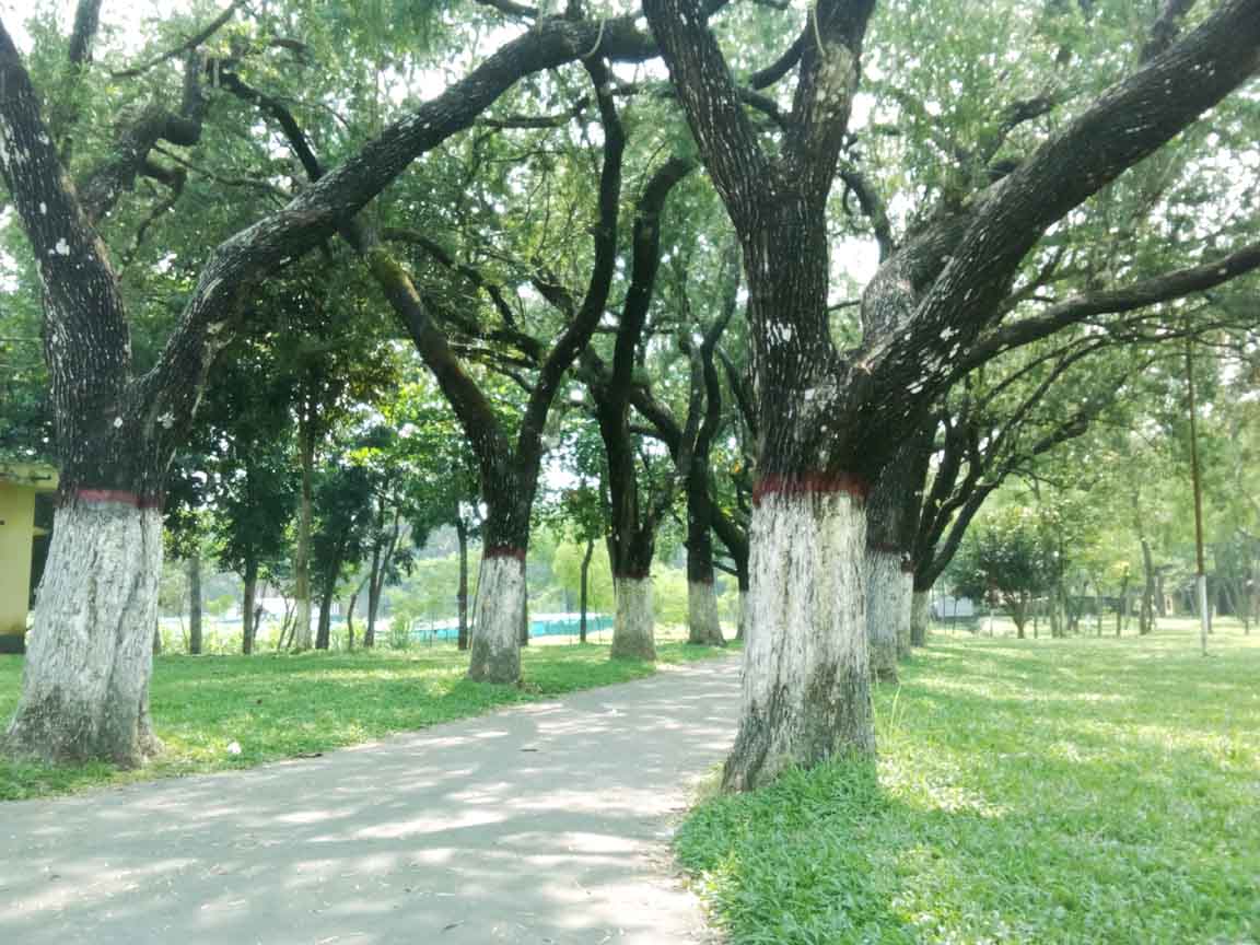 Sylhet and Srimangal tour