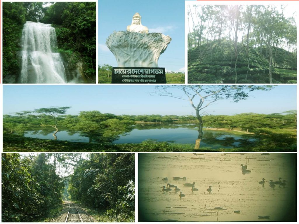 Sreemangal tour for Bangladeshi