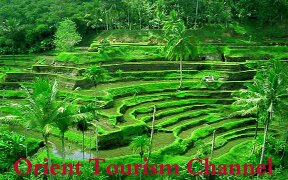 Bali Honeymoon Go Green Tour