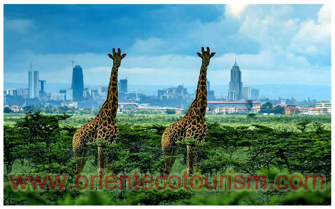 city tour in Kenya