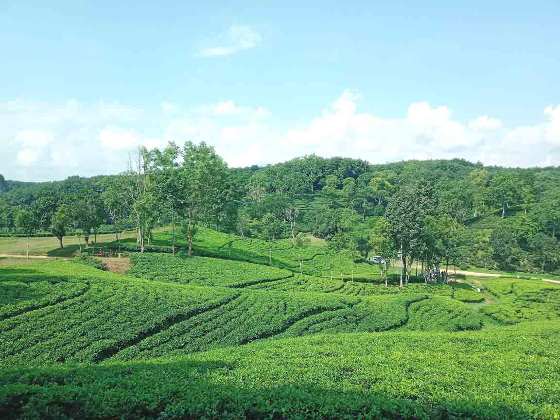 Dhaka Barisal to Srimangal tour photo