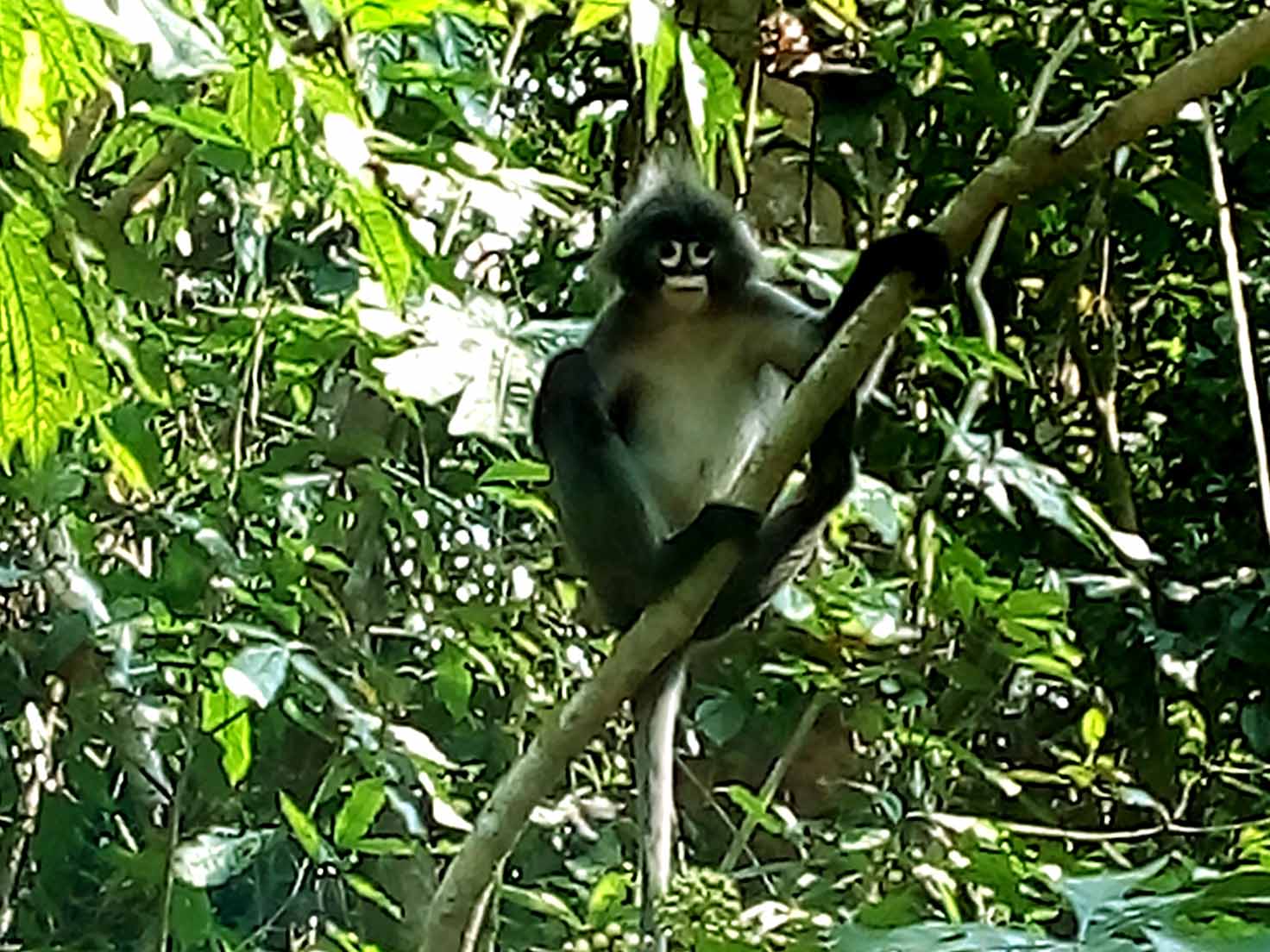 Dhaka Barisal Srimangal