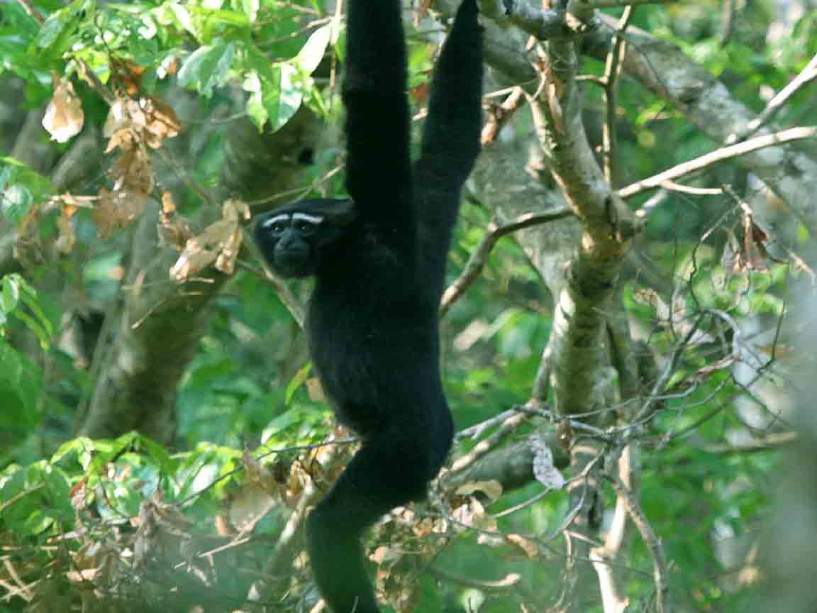 Bangladesh tour for 10 days