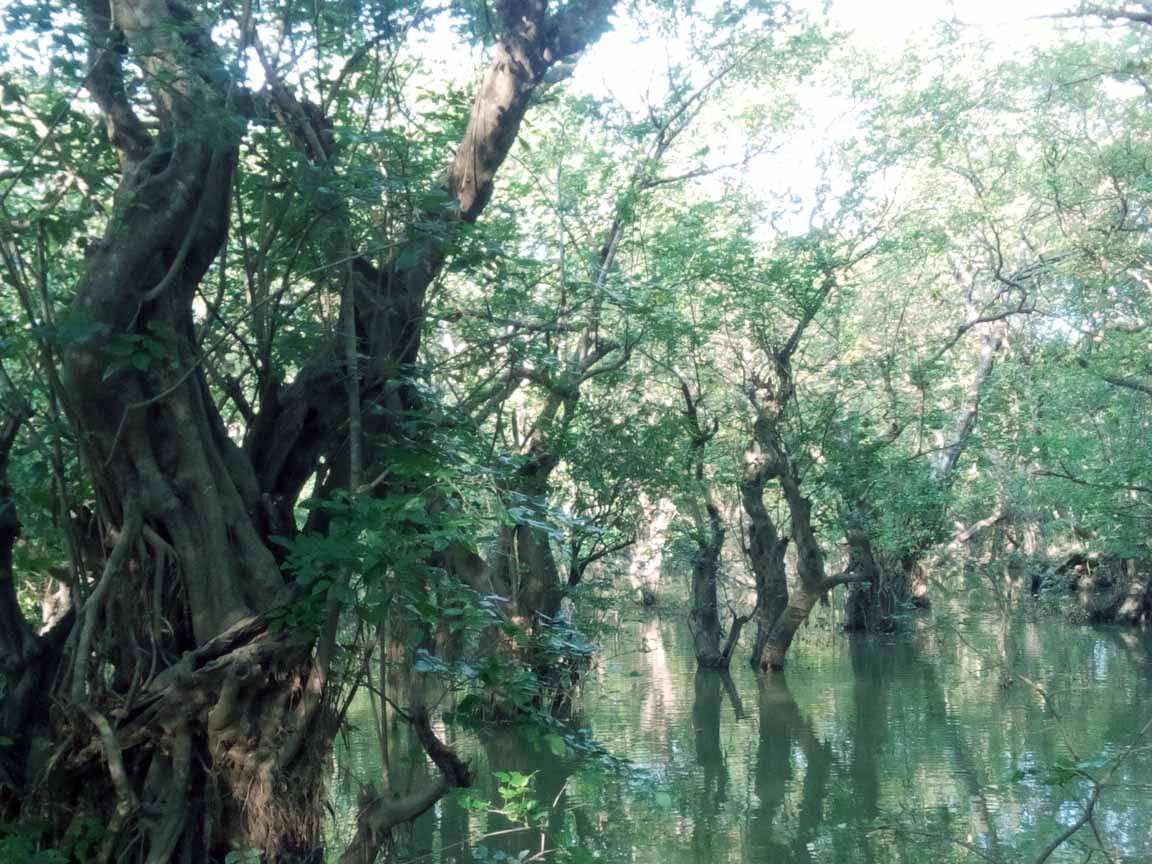 layover tour in sylhet