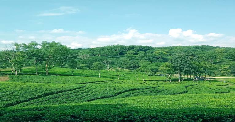 Award Winning Tourism Company in Bangladesh