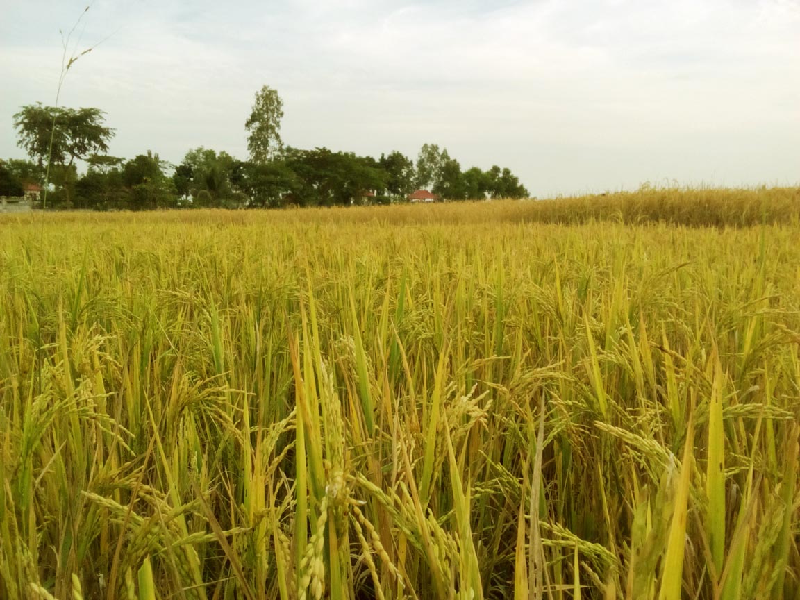 Day trip in Chittagong