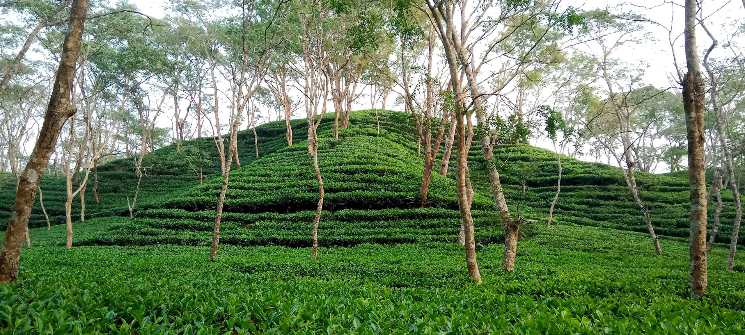 7 days trip in Bangladesh