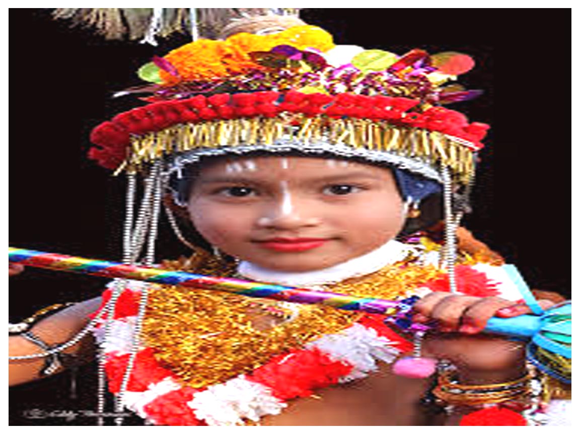 Raas Mela Festival Tour